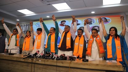 Lok Sabha elections