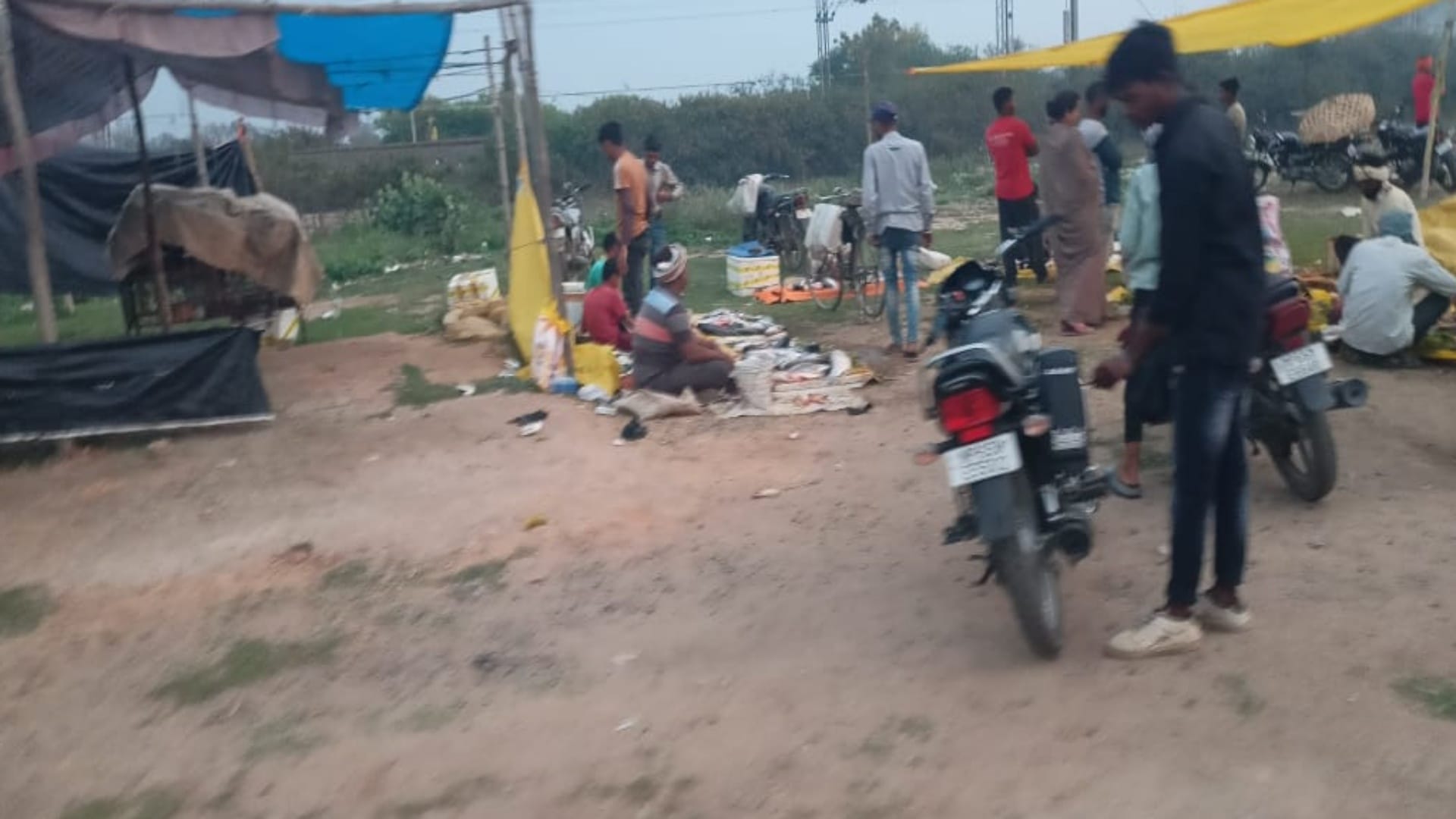 खुले में लग रही मीट की दुकान