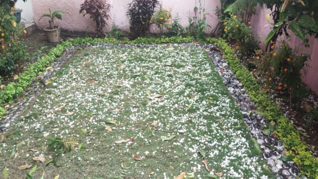 Rain In Umaria Rain lashed with strong winds farmers worried due to hailstorm