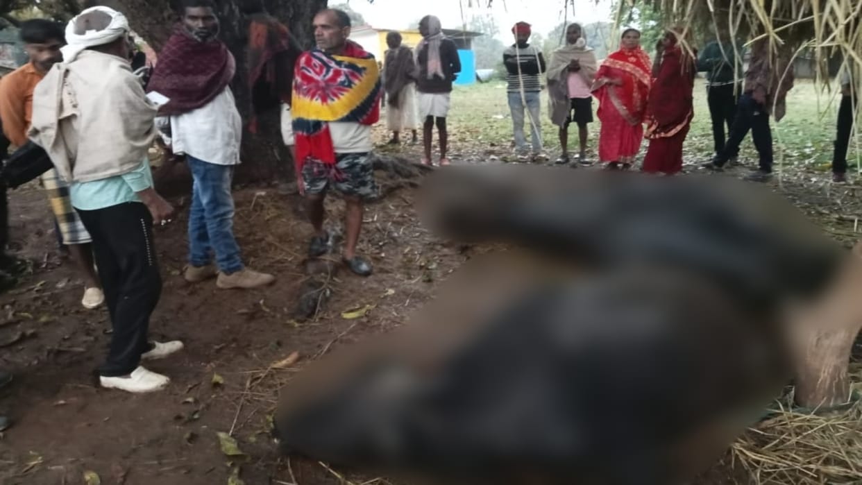 Anuppur News Two buffaloes died after being hit by lightning