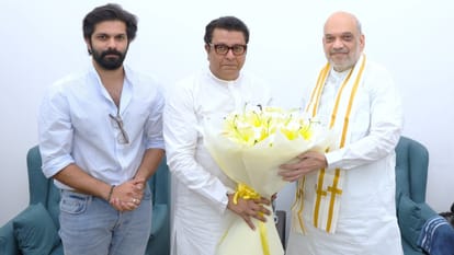 Lok Sabha Elections: why is BJP forming alliance with Raj Thackeray MNS in Maharashtra
