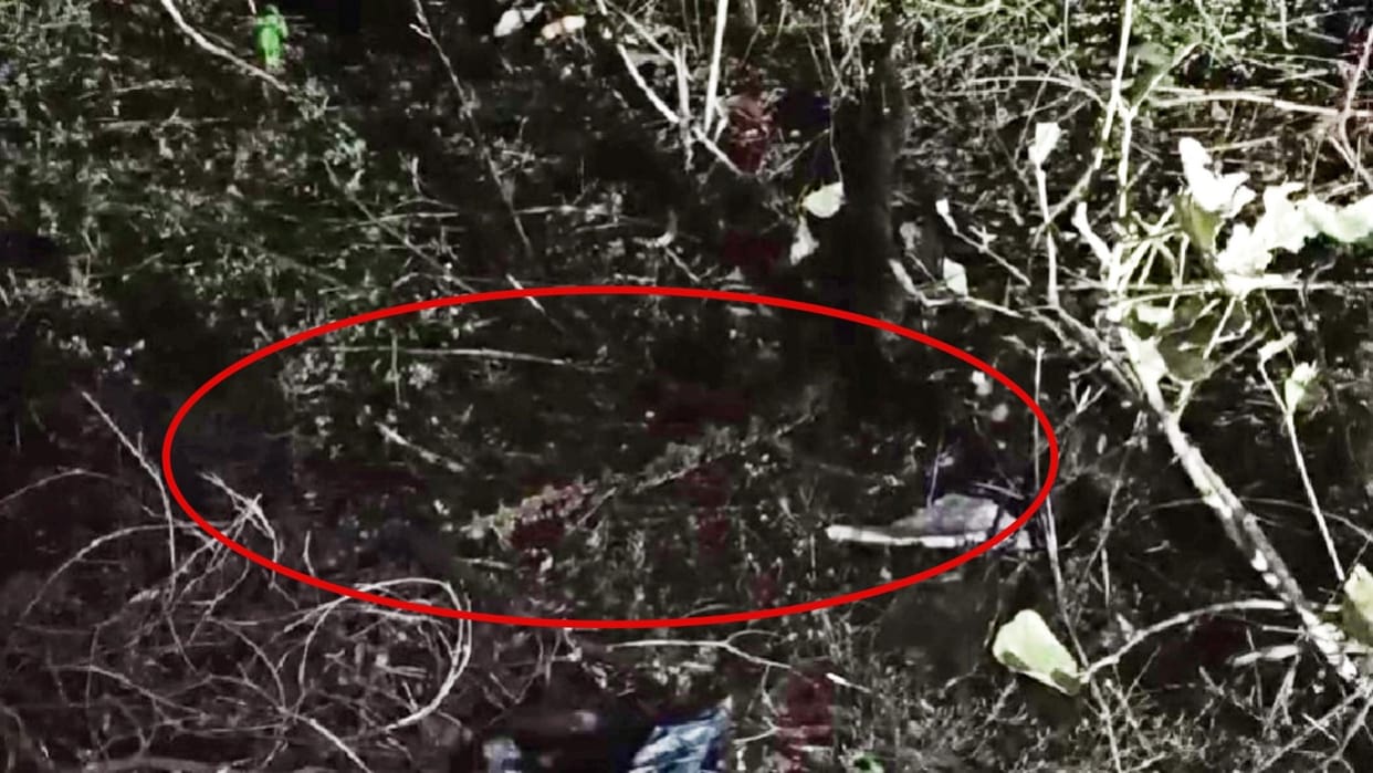 Umaria: A rare species of python seen near the liquor shop in Maliyaguda