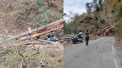 Weather Suddenly Changed Trees fell on roads, Weather, Uttarakhand weather update storm in Chamoli caused trees to break and fall on the road Read All Updates
