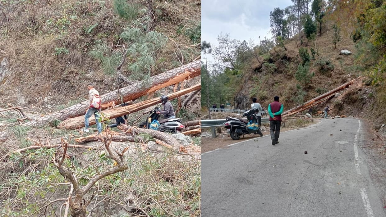 Uttarakhand weather update storm in Chamoli caused trees to break and fall on the road Read All Updates