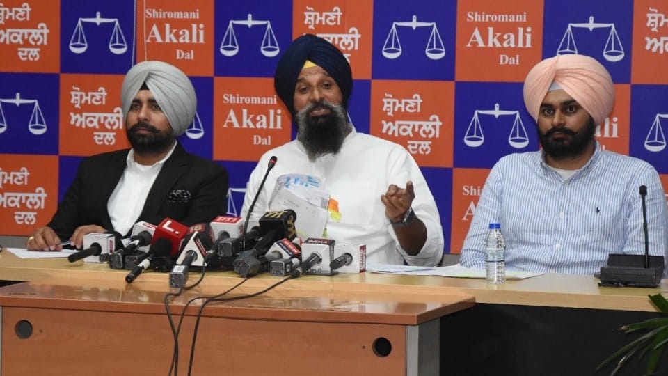 Akali leader Bikram Majithia made accusation about AAP Leader Rajkumar Chabbewal
