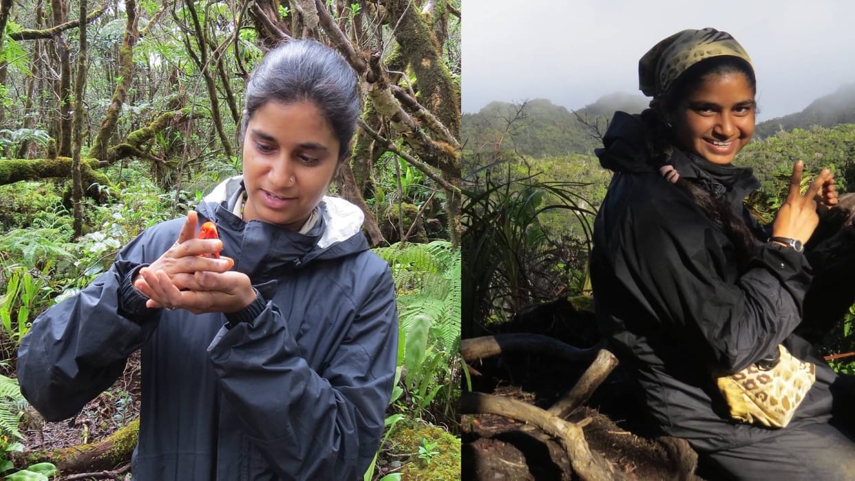 journey from forests to urban green spaces