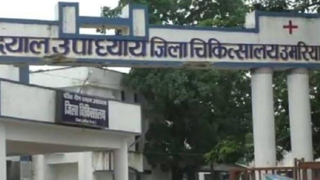 Two died due to leptospirosis disease spread by rats