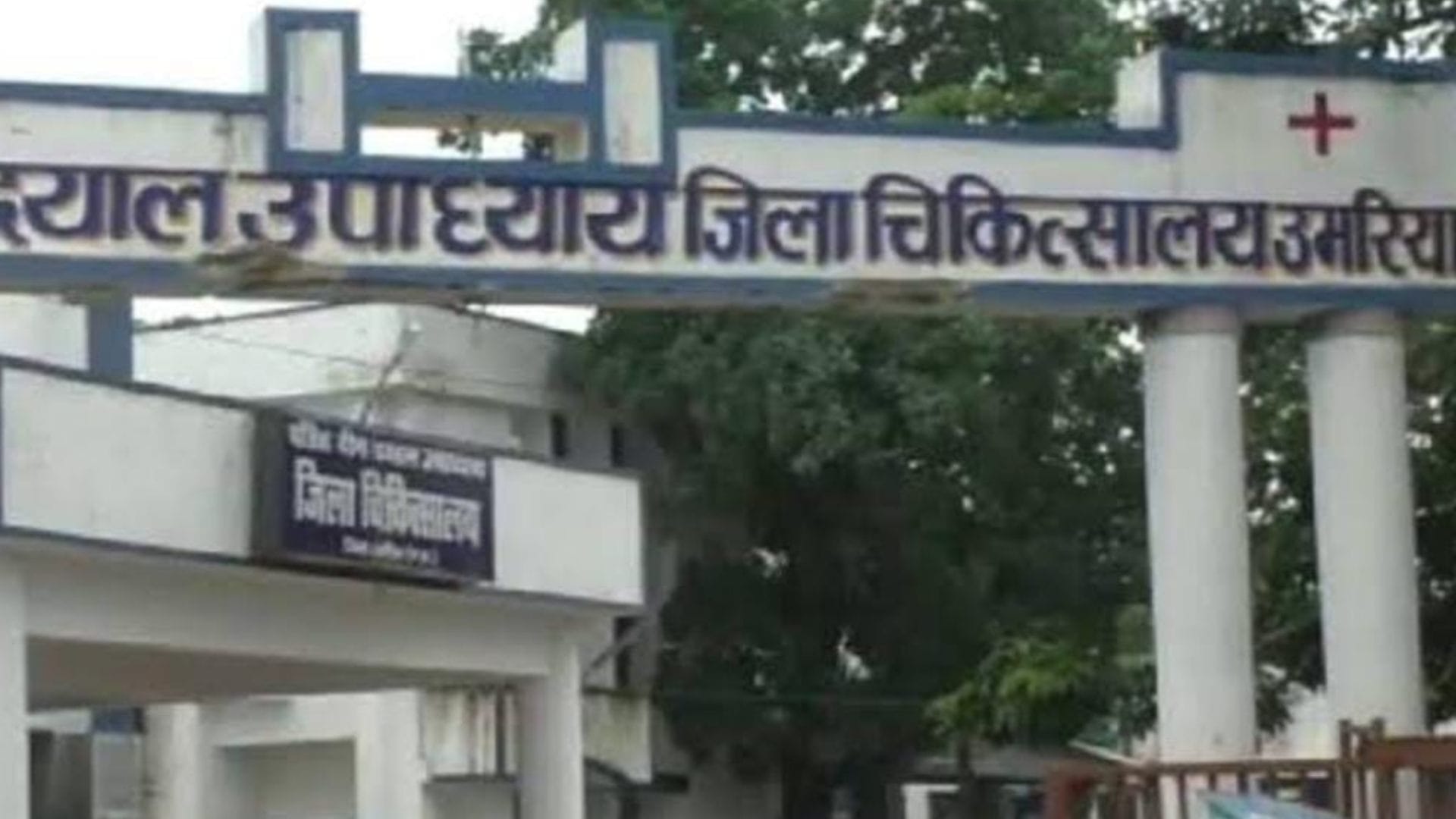 लैप्टो स्पायरोसिस बीमारी से दो की मौत