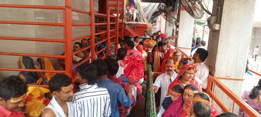 Rangbhari Ekadashi 2024 Devotees worshiped in Maa Vindhyavasini temple
