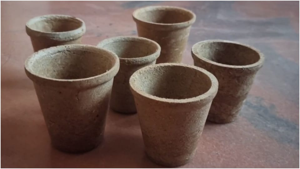 Tea kulhars and straws made from eco-friendly wheat straw in Sagar