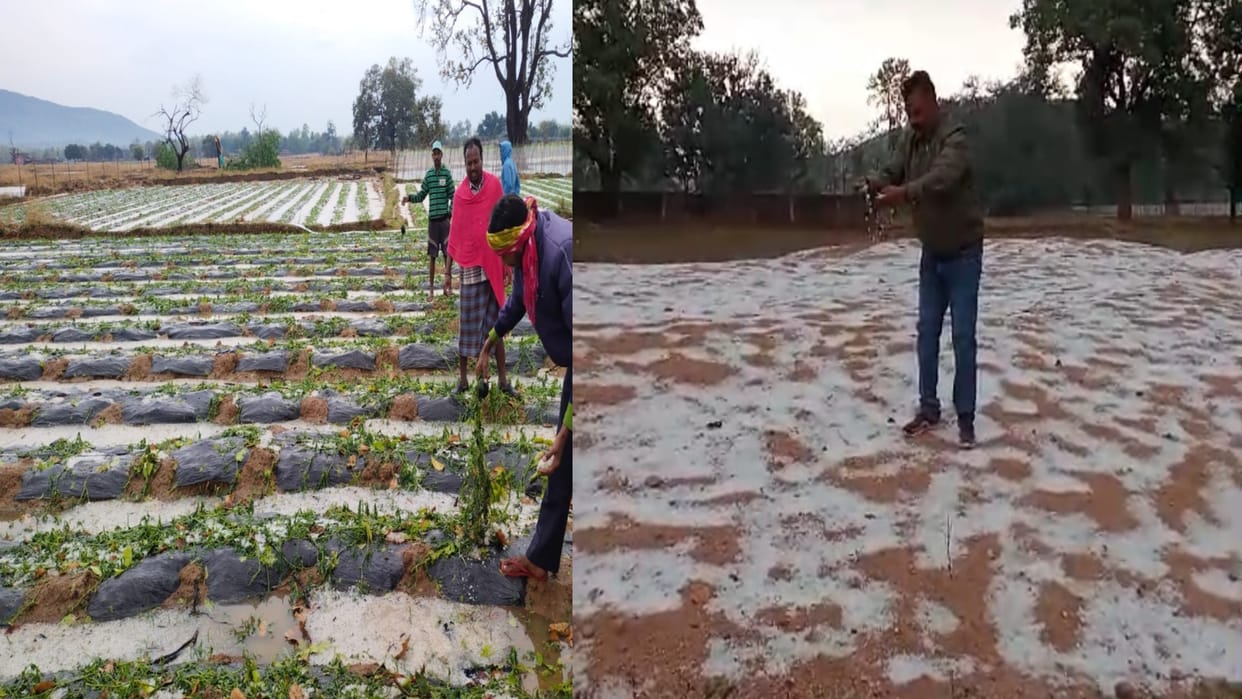 CG News: CM Sai decision on damage to crops due to unseasonal rain and hailstorm