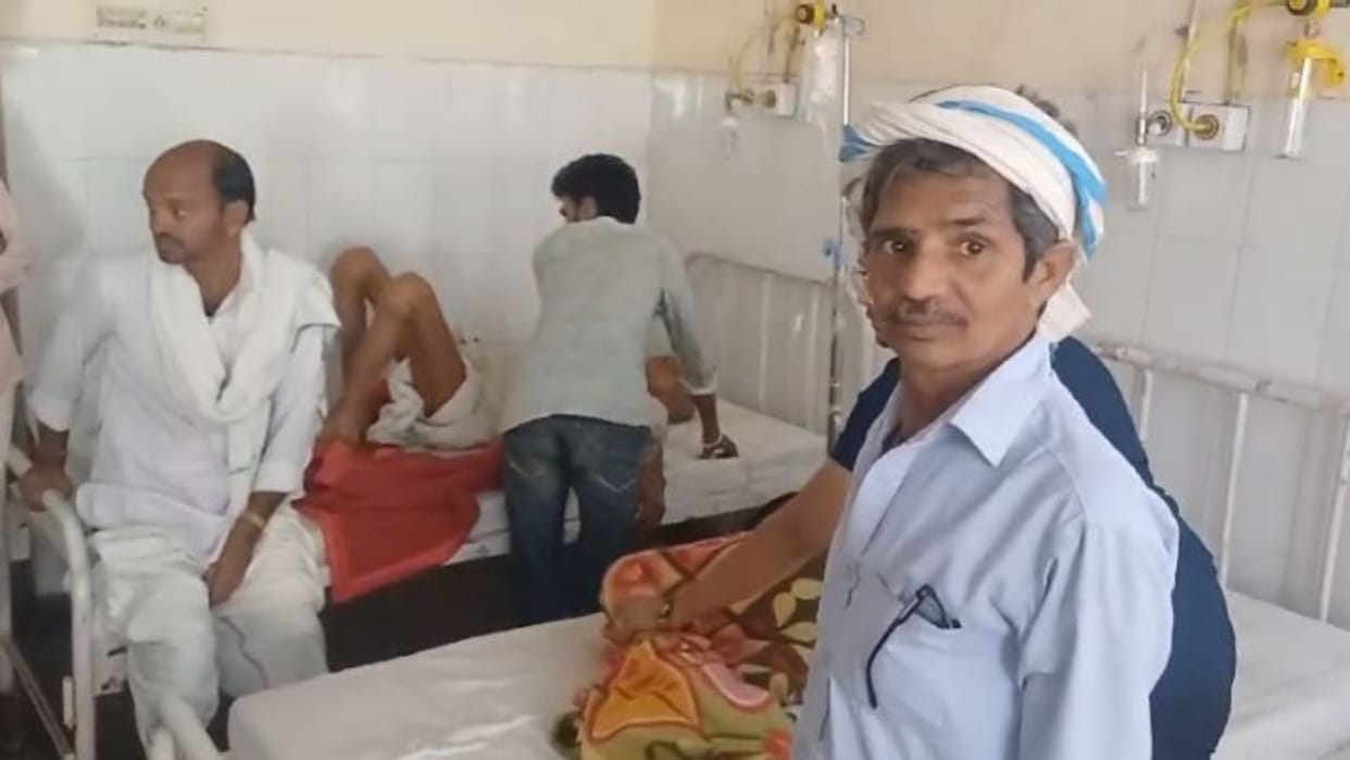 Rajasthan Bees attack on people going for cremation in Sawai Madhopur 50 people injured