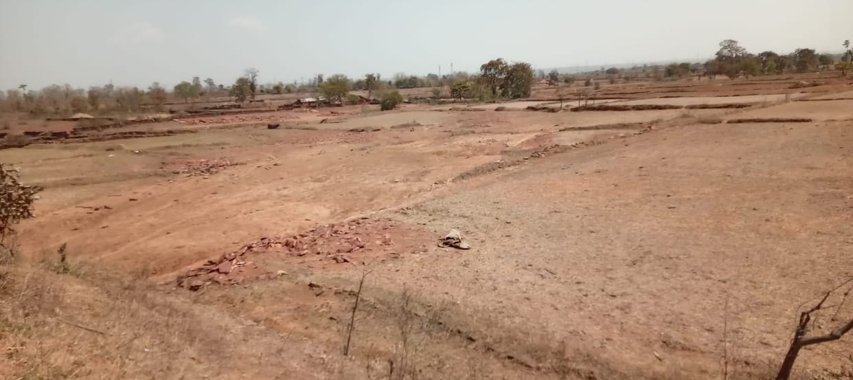 Damoh News: Pond burst in Sanga village of Damoh, fields remain barren even after six months