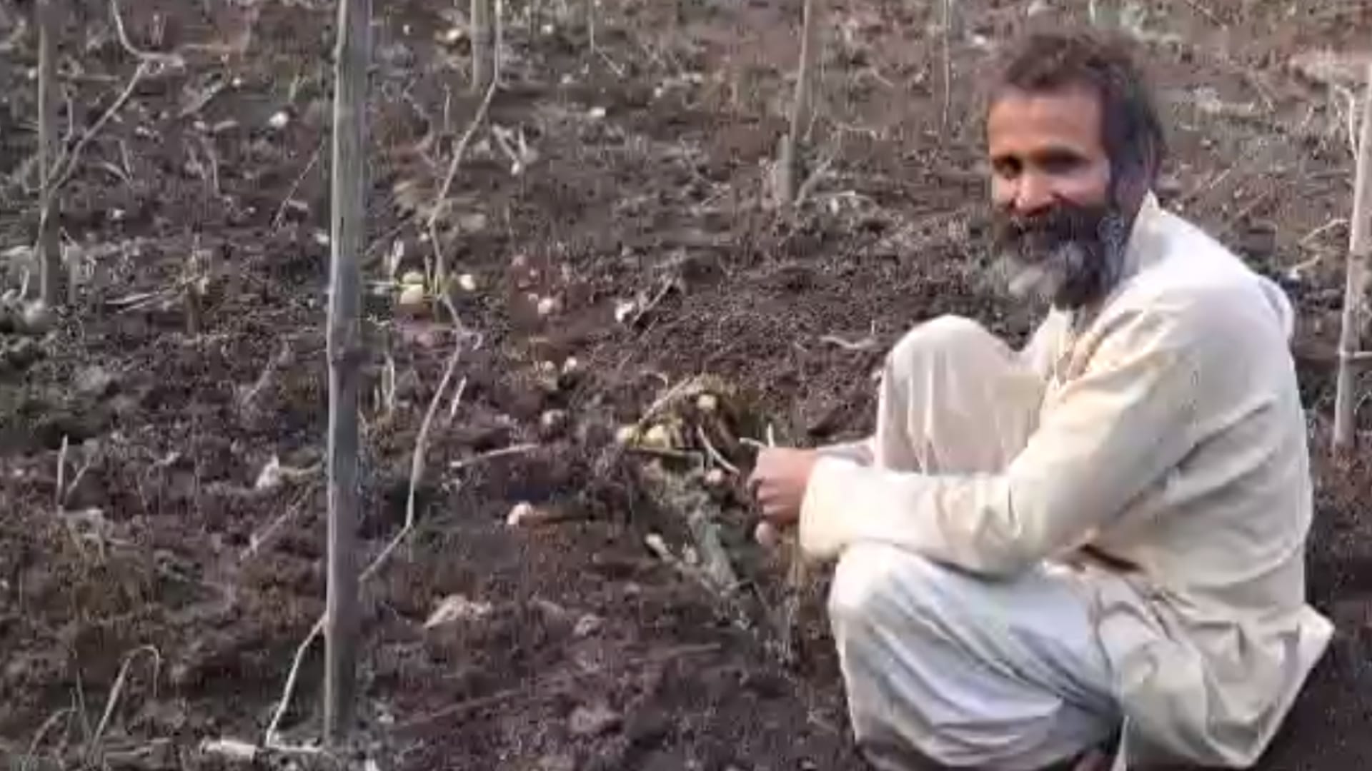 Sagar News: Young farmer of Sagar grows black potatoes in Bundelkhand, earns Rs 5 lakh annually