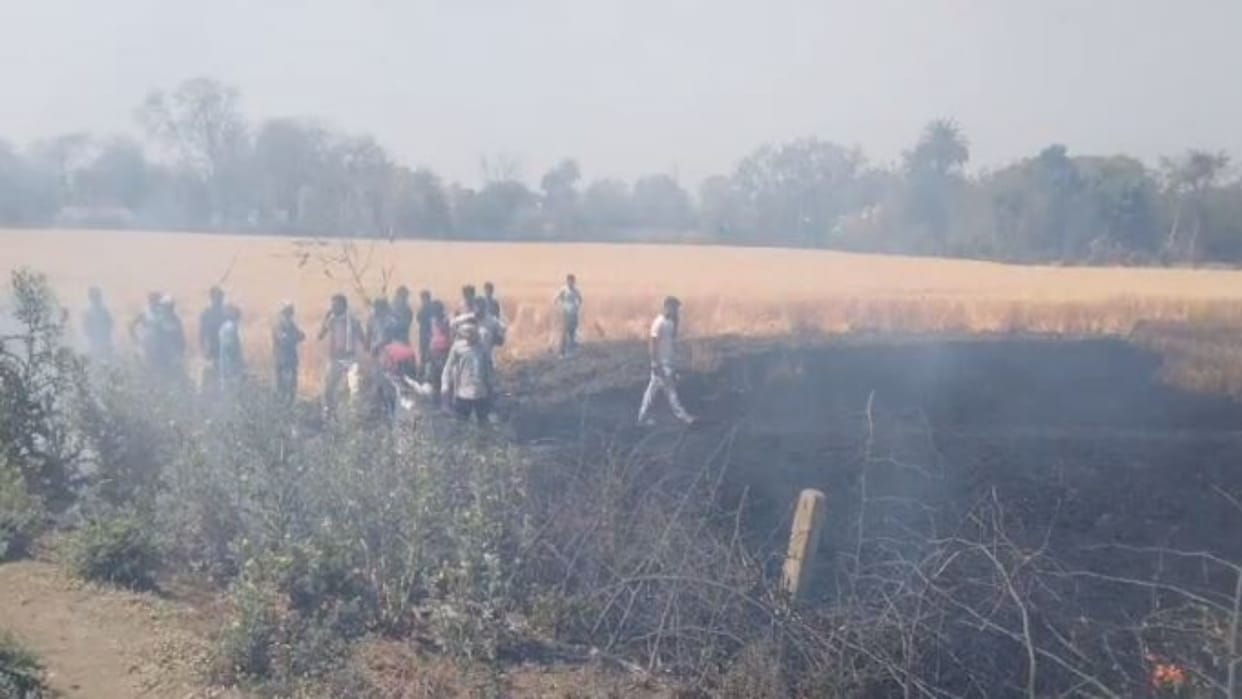 Sagar News Fire broke out in wheat field due to short circuit half acre of crop burnt
