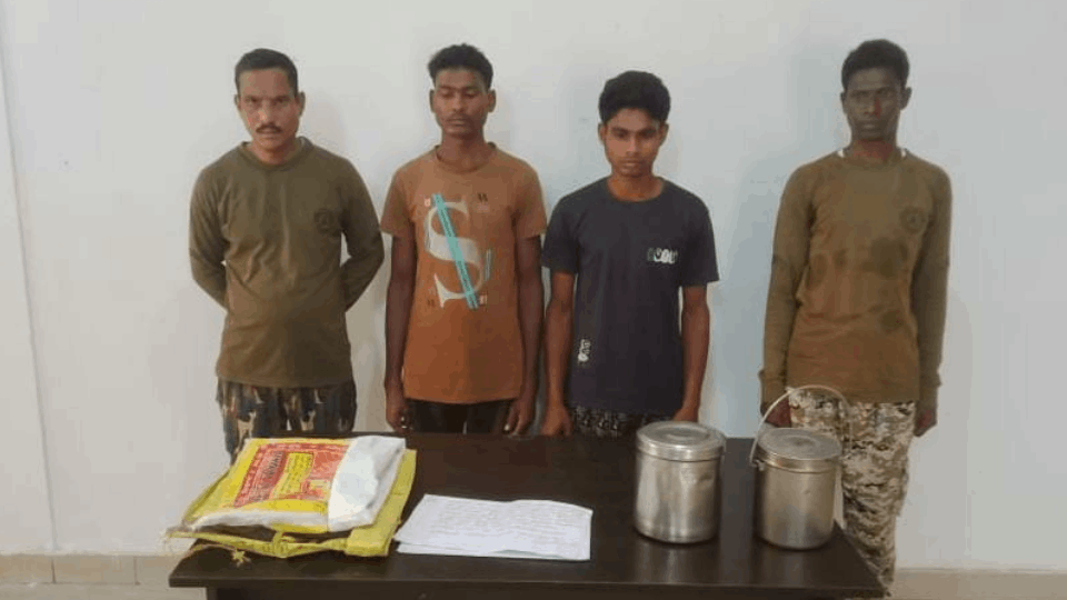 दो मिलिशिया सदस्य गिरफ्तार