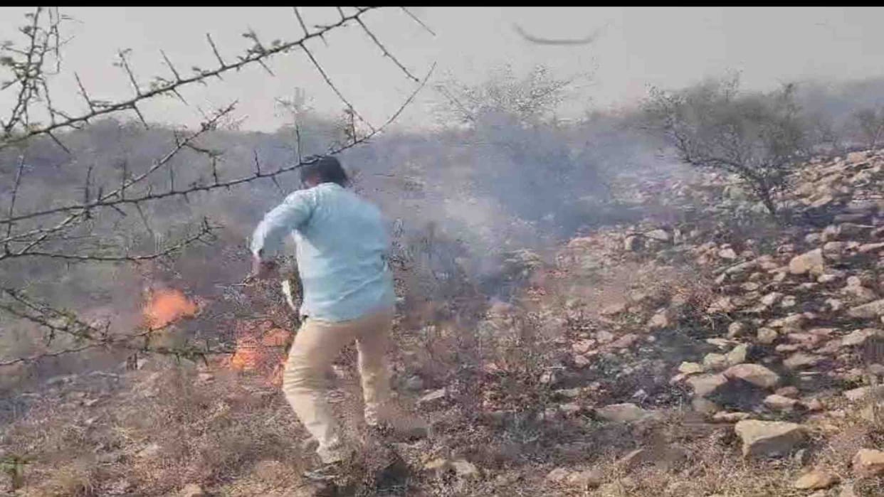 Dausa News: Fire broke out in the forest on top of the hill in Sikrai