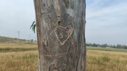 Dead body of a youth found hanging from a tree, used to work in Pune, had come home on Holi.