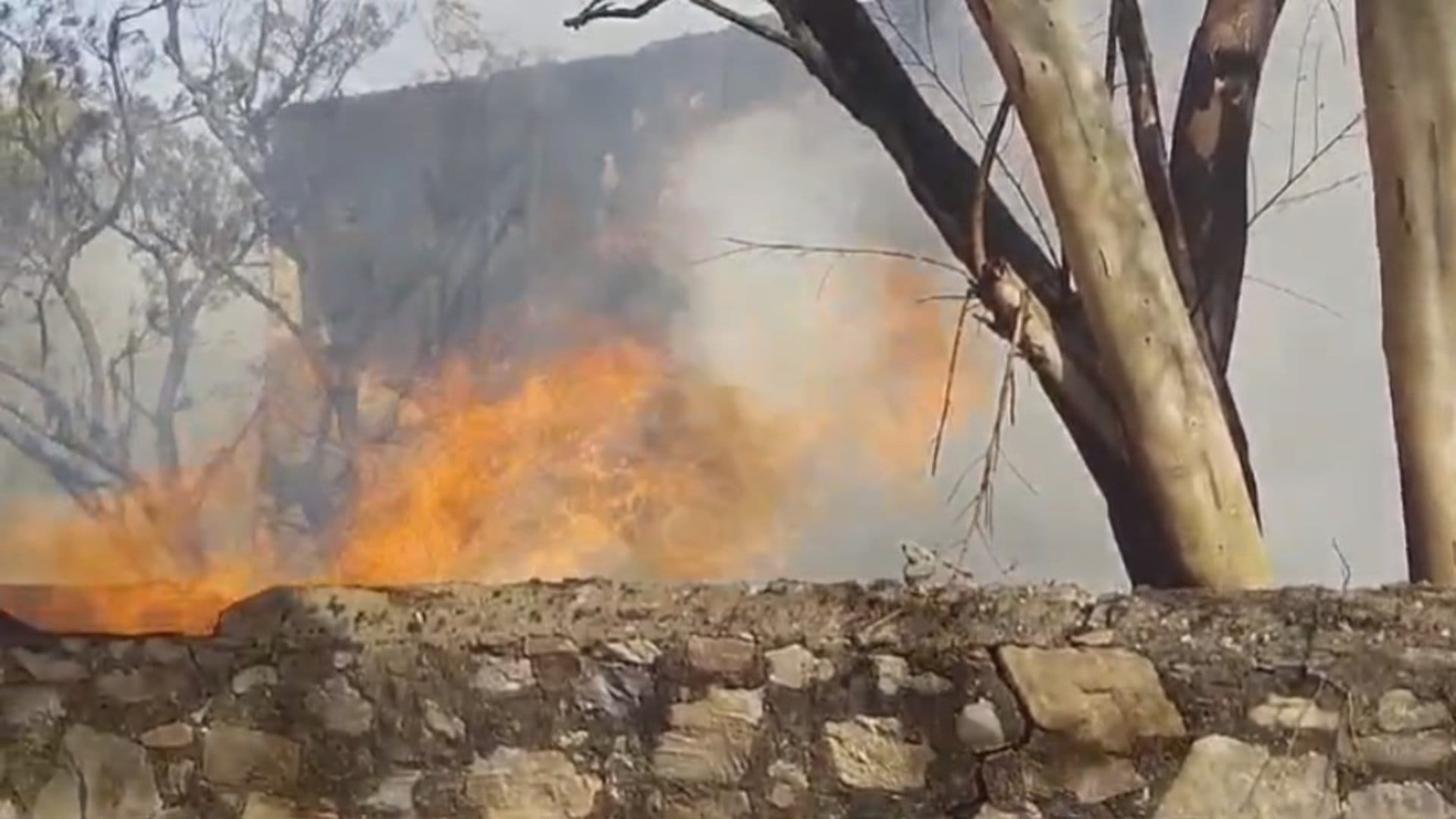 Ajmer: Massive fire broke out in a wooden warehouse near Madar railway station, loss worth lakhs