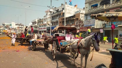 Lucknow: Holi played with traditional style, Deputy CM came out riding on a camel in the wedding procession