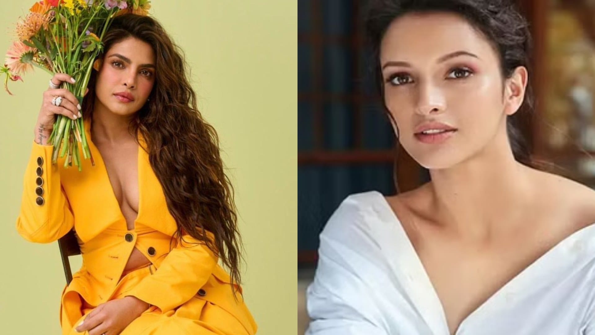 Animal actress Triptii Dimri praises Priyanka Chopra says I am really inspired by her she is versatile actress