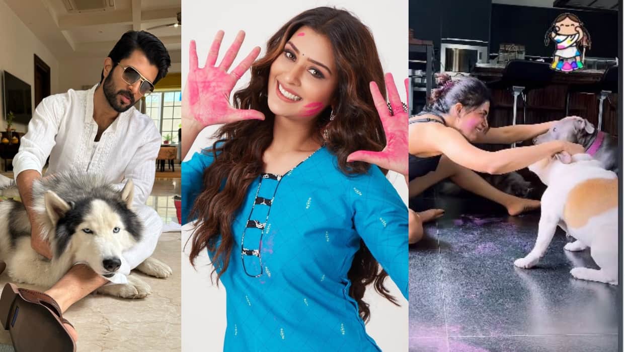Allu Arjun Mahesh Babu Chiranjeevi Samantha Vijay Deverakonda wish fans on the occasion of Holi in special wa