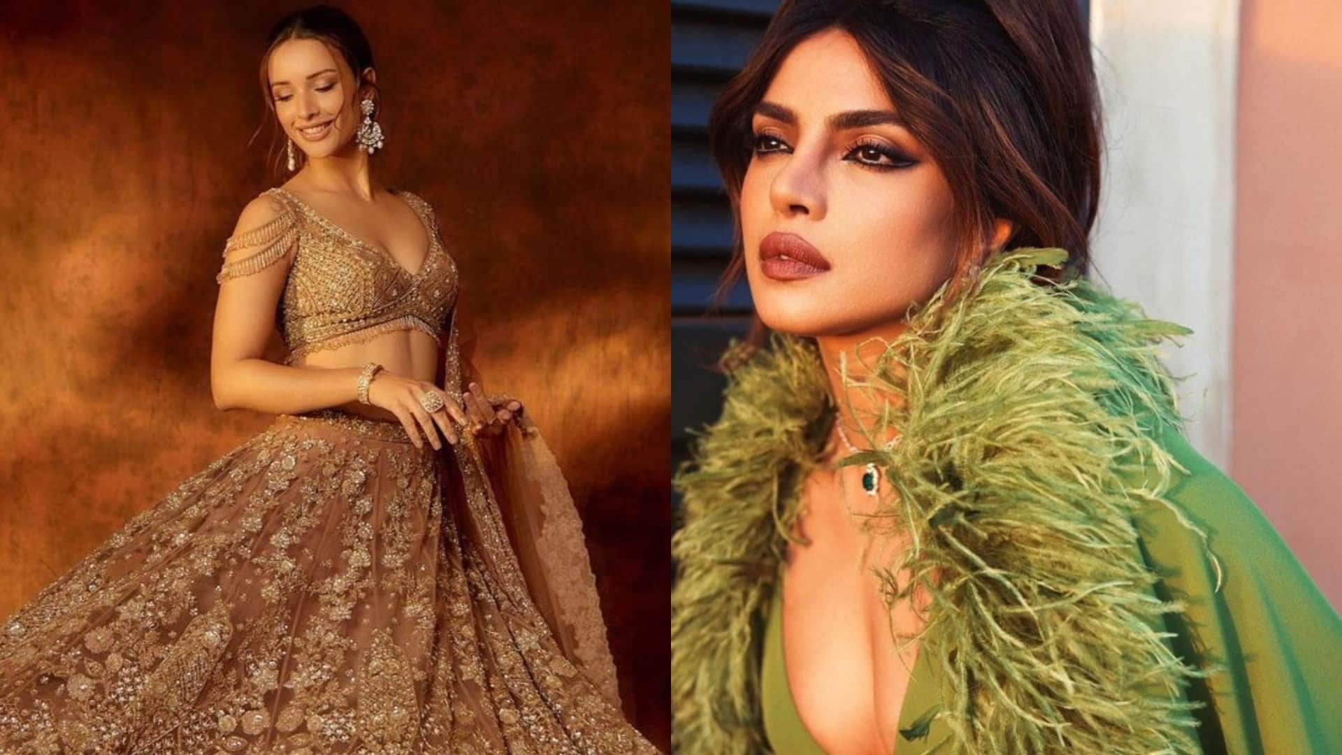 Animal actress Triptii Dimri praises Priyanka Chopra says I am really inspired by her she is versatile actress