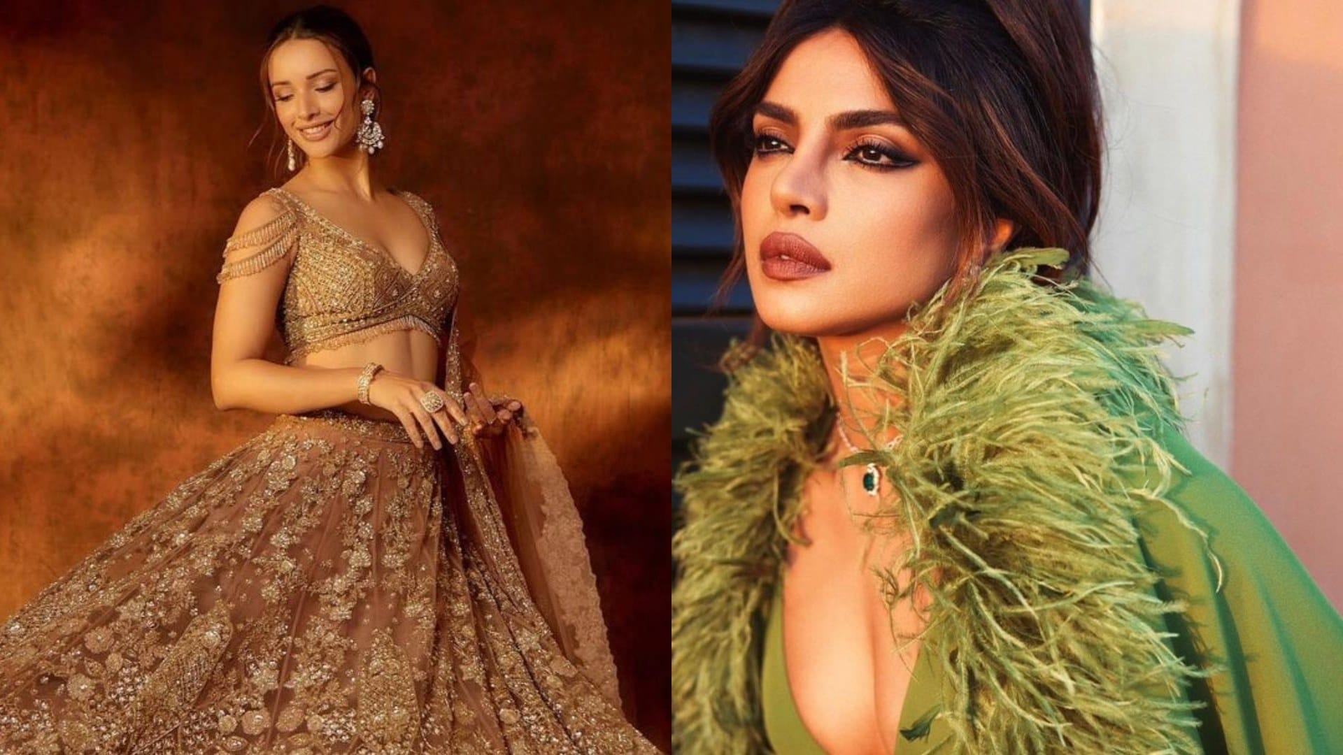 Animal actress Triptii Dimri praises Priyanka Chopra says I am really inspired by her she is versatile actress
