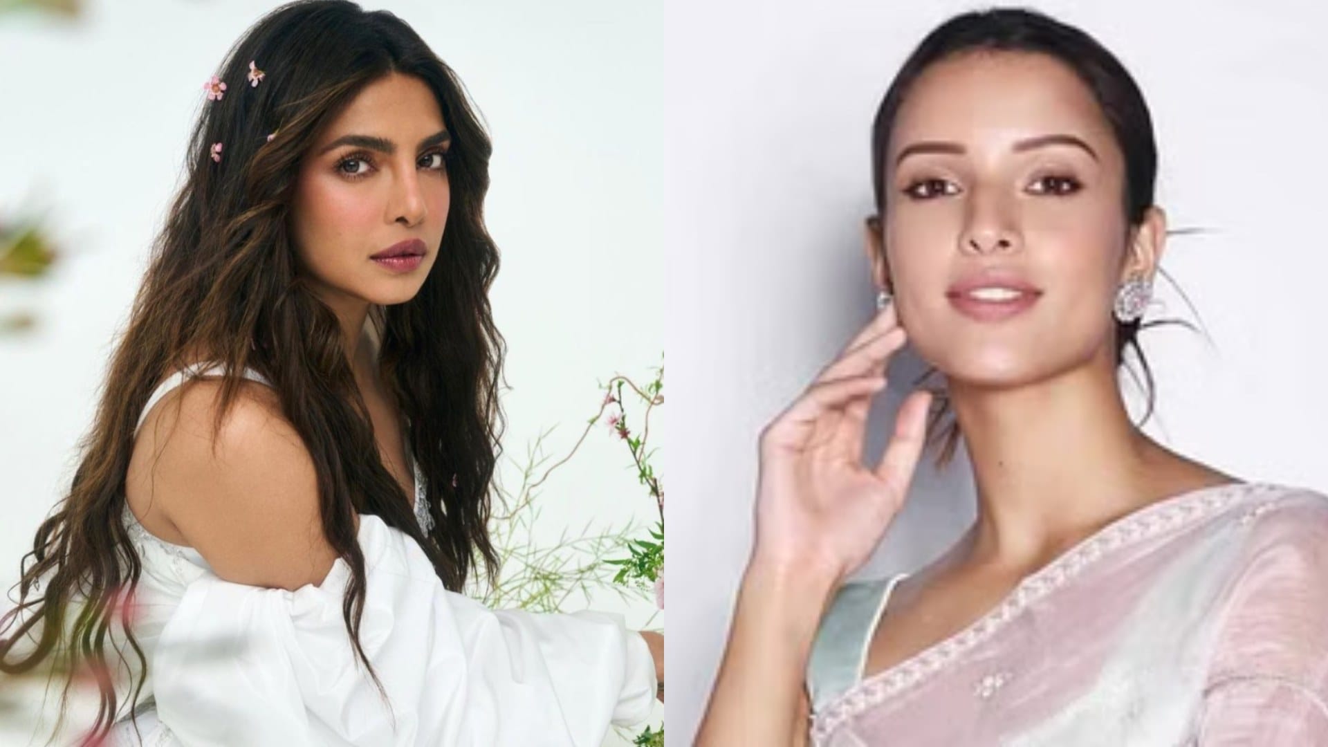 Animal actress Triptii Dimri praises Priyanka Chopra says I am really inspired by her she is versatile actress