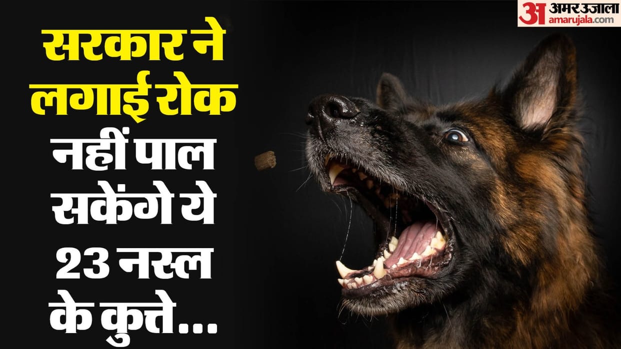 Government bans sale and breeding of 23 breeds of dogs those who have get them sterilized