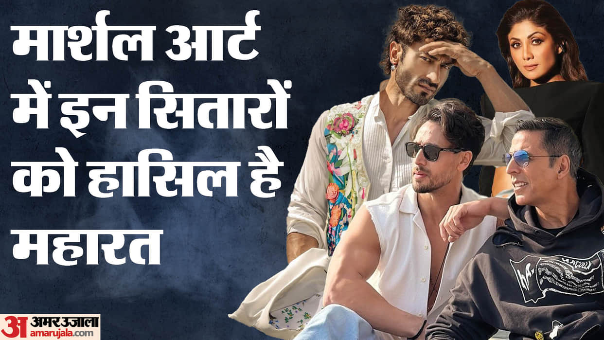 These celebs have mastered martial arts akshay kumar tiger shroff Vidyut jammwal shilpa shetty