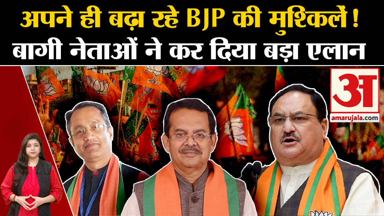 लोकसभा चुनाव