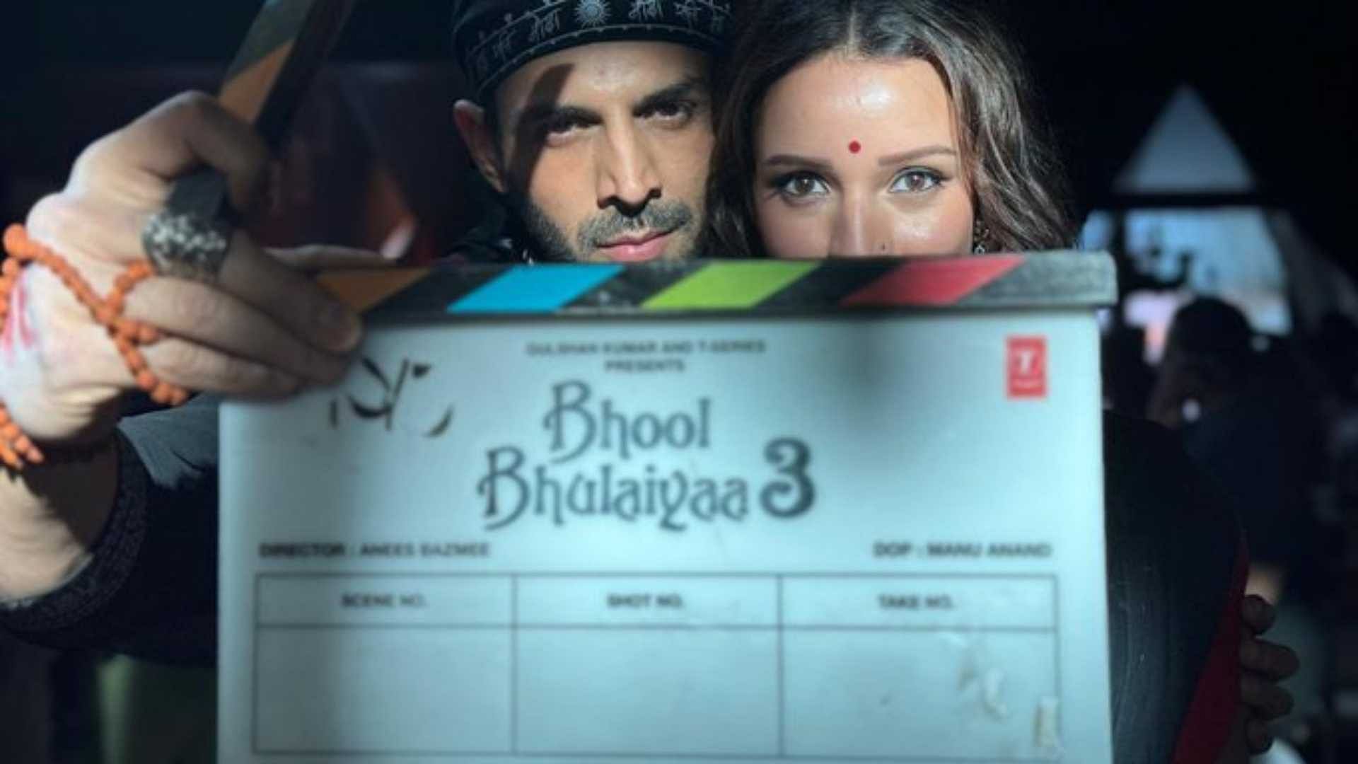 Bhool Bhulaiyaa 3 Kartik Aaryan Triptii Dimri Upcoming Film First ...