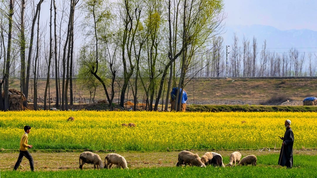 Jammu Kashmir Weather update rain in many districts, cloudy in some areas