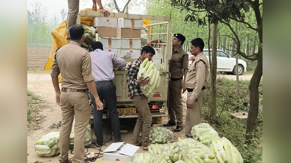 Roorkee News Liquor Smugglers Arrested with Loader coming from Haryana was filled with bottle gourd