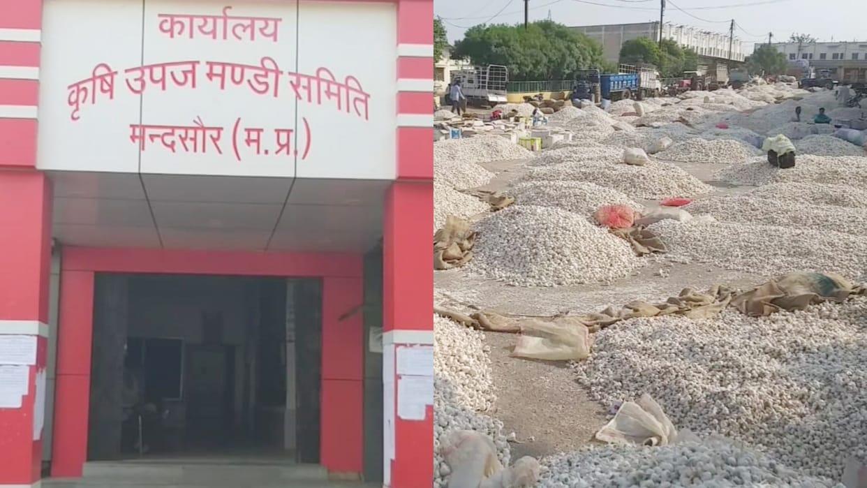 Mandsaur News Trader absconds with Rs 30 lakh from more than 14 garlic farmers