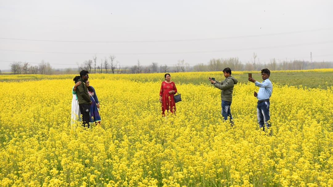 jammu kashmir Weather change again today chances of rain and snowfall till March 31