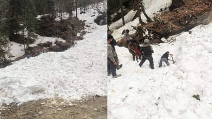 Kullu News: मनाली के कालू नाले में हिमस्खलन की चपेट में आया व्यक्ति, बचाव अभियान जारी Man caught in avalanche in Kalu drain of Manali, rescue operation underway
