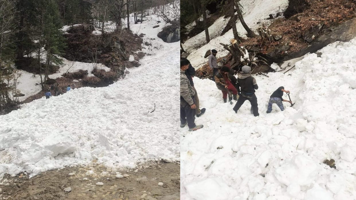 Man caught in avalanche in Kalu drain of Manali, rescue operation underway
