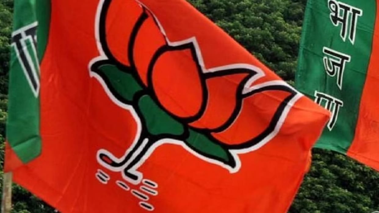 CG Lok sabha Election: Chhattisgarh BJP Star Campaigners List released, these leaders will campaign