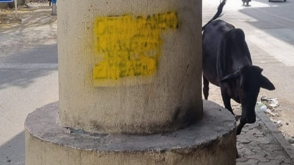 Khalistani slogan found written on pillar of Punjabi Bagh metro station