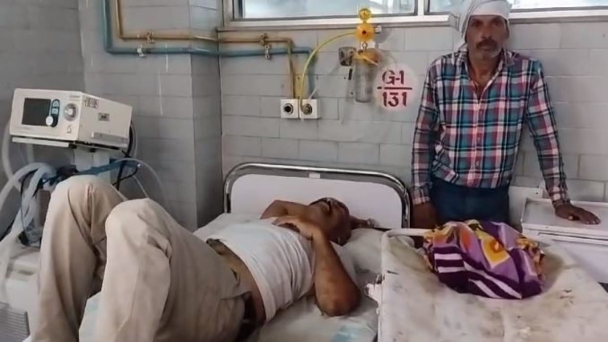 Rewa News More than 15 people injured in bee attack during funeral