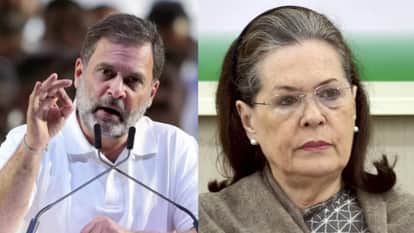 UP Lok Sabha Election 2024 Top Leaders and Family Members in Politics Scenarios Azam Khan to Rajnath Singh