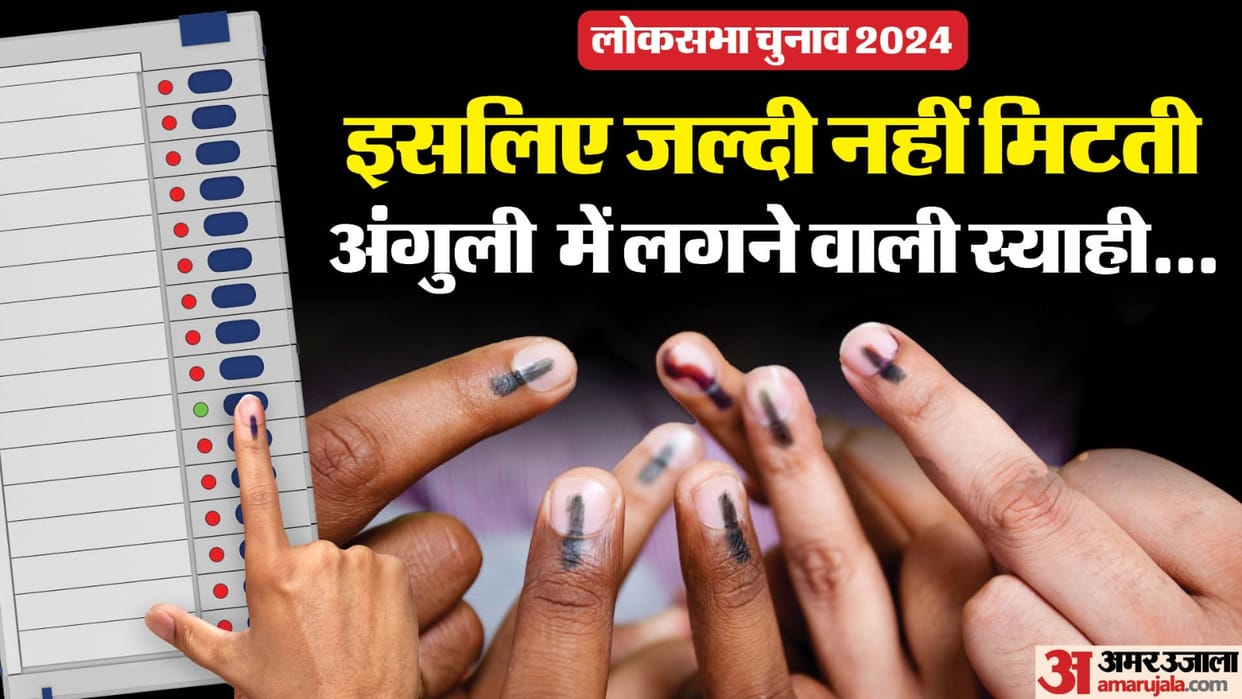 Lok Sabha Election 2024: Why Doesn't Electoral Ink Get Erased Finger