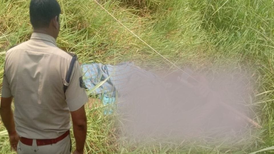 Farmer and his bull died due to electric shock in Raigarh