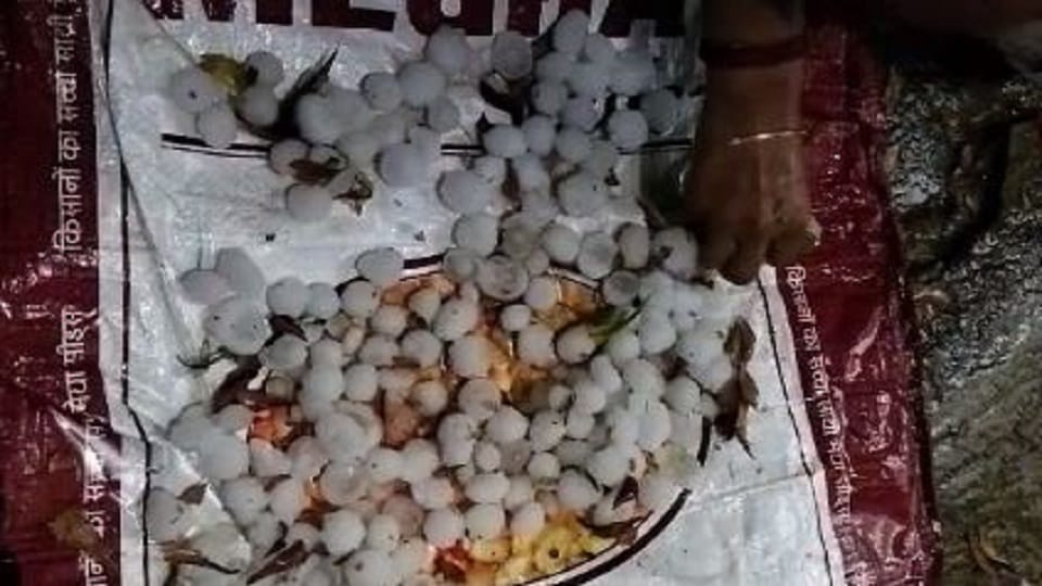 Aligarh Weather update due to rain and hailstorm