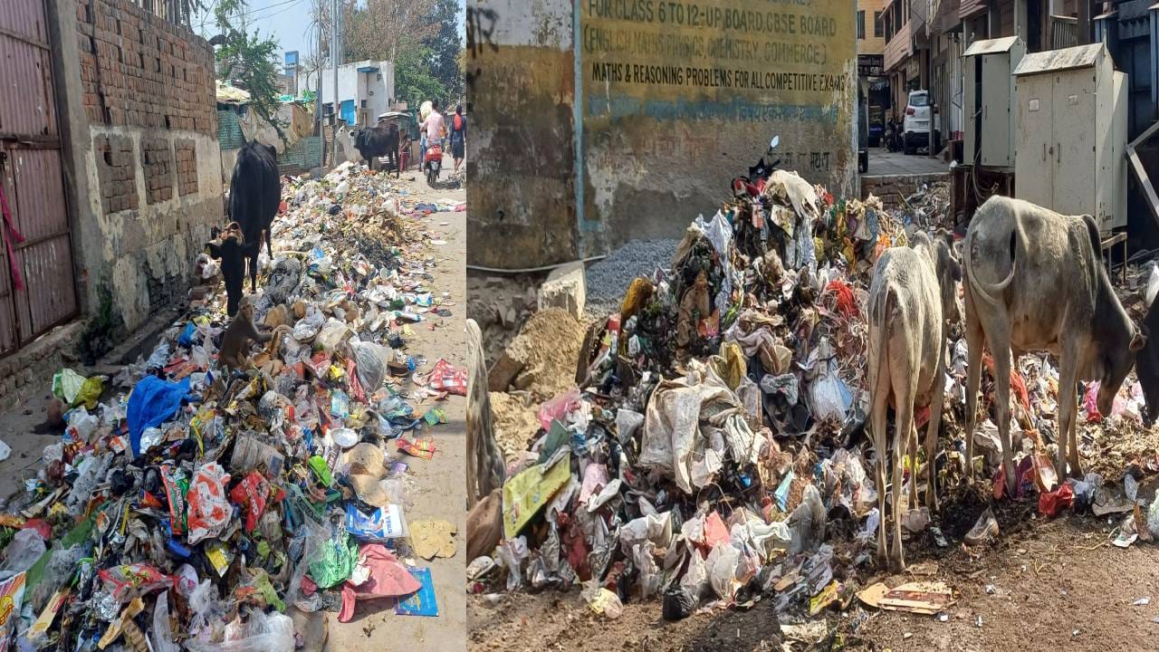 employee and drivers of garbage collection vehicles went on strike due to which filth seen all city In Mathura
