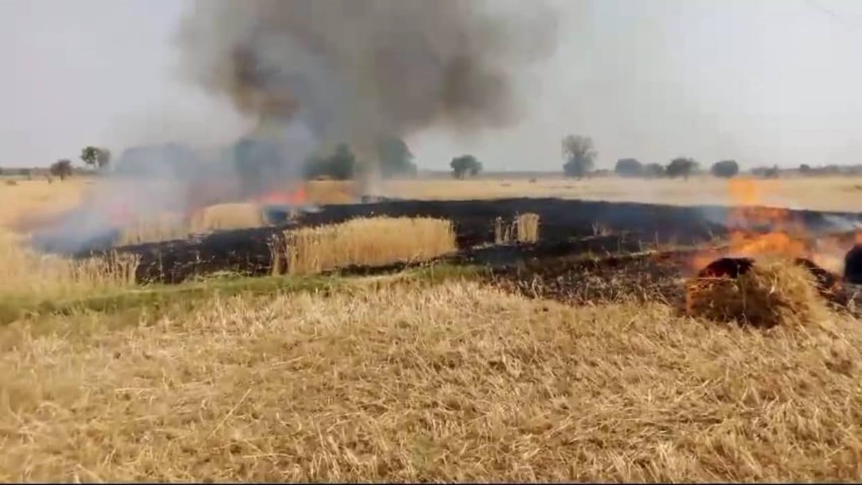 Damoh News Wheat crop burnt to ashes due to short circuit in Hinoti Thengapati village