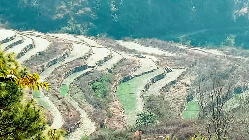 Lok Sabha Election 2024 Farming area is decreasing year after year not a major issue for political parties