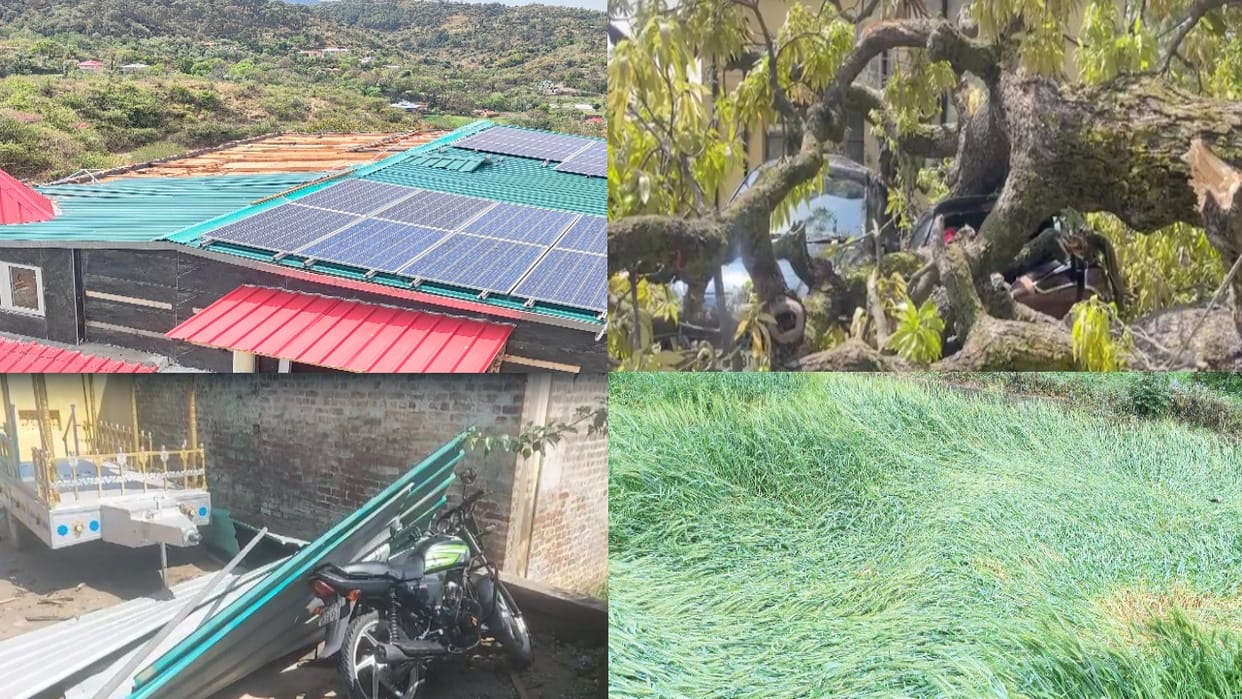 Himachal weather: Storm caused havoc in state: Roofs of houses blown away, wheat crop scattered in fields, tre